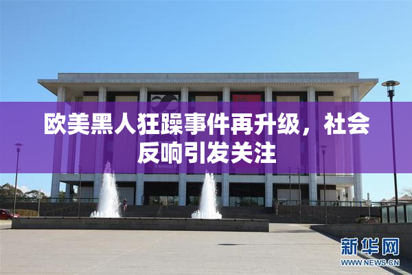 欧美黑人狂躁事件再升级，社会反响引发关注