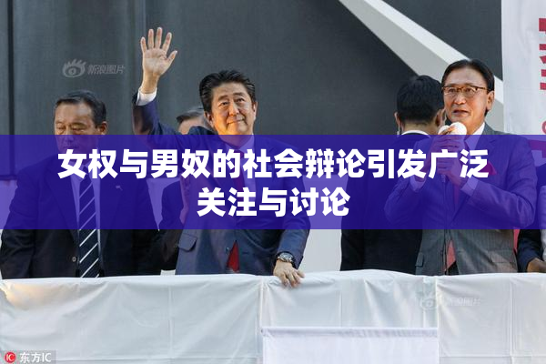 女权与男奴的社会辩论引发广泛关注与讨论