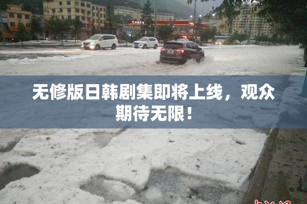 无修版日韩剧集即将上线，观众期待无限！