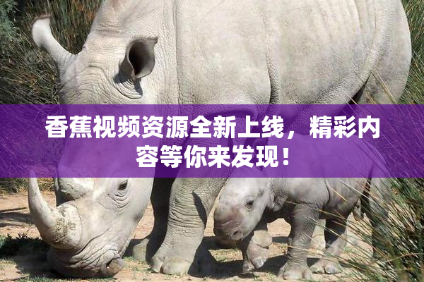 香蕉视频资源全新上线，精彩内容等你来发现！