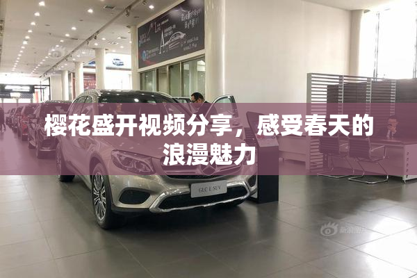 樱花盛开视频分享，感受春天的浪漫魅力