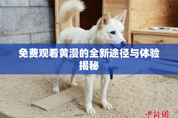 免费观看黄漫的全新途径与体验揭秘