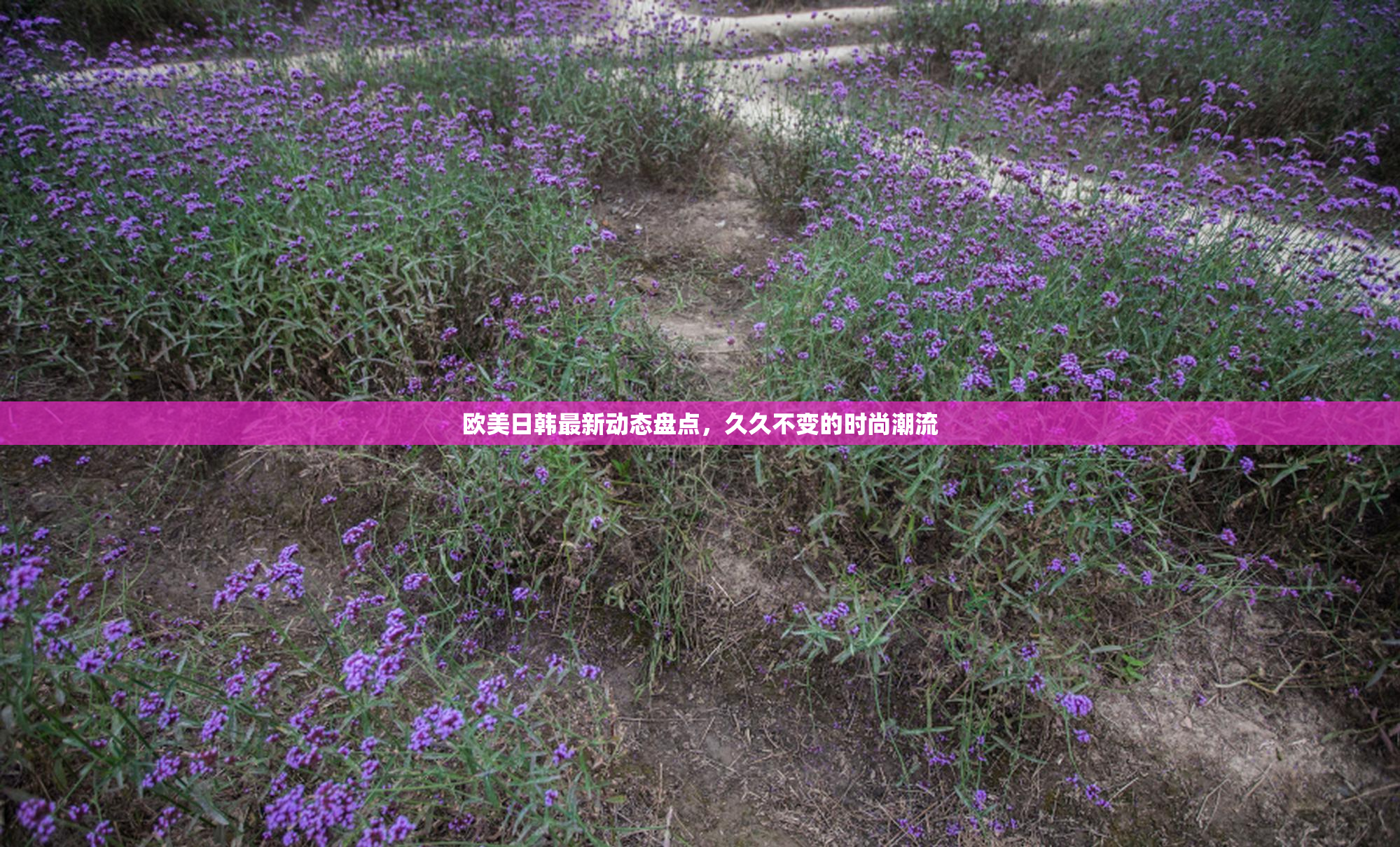 欧美日韩最新动态盘点，久久不变的时尚潮流