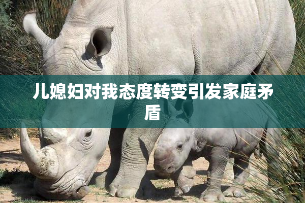 儿媳妇对我态度转变引发家庭矛盾