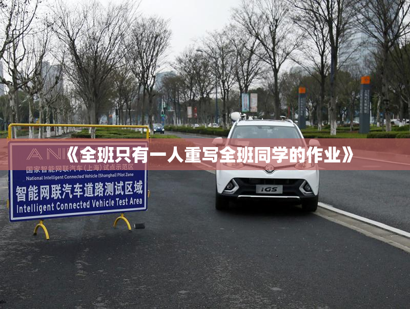 《全班只有一人重写全班同学的作业》