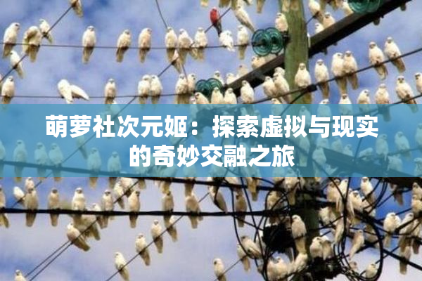 萌萝社次元姬：探索虚拟与现实的奇妙交融之旅