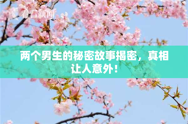 两个男生的秘密故事揭密，真相让人意外！