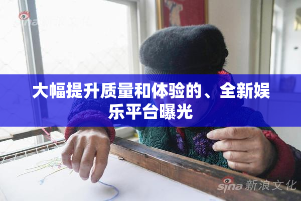大幅提升质量和体验的、全新娱乐平台曝光
