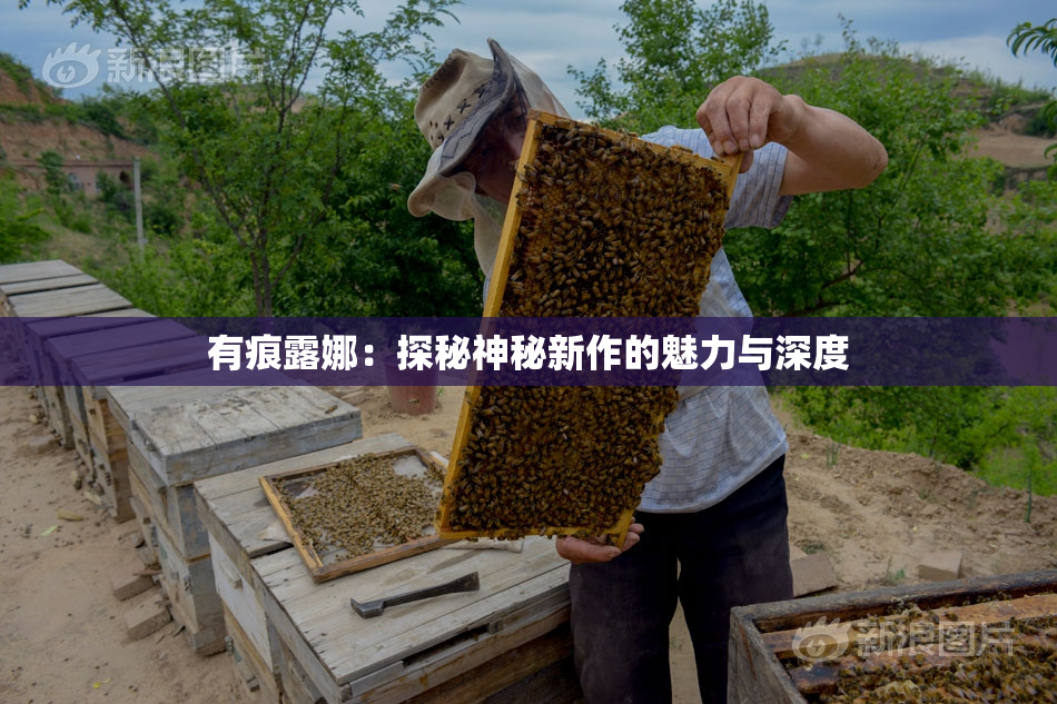 有痕露娜：探秘神秘新作的魅力与深度