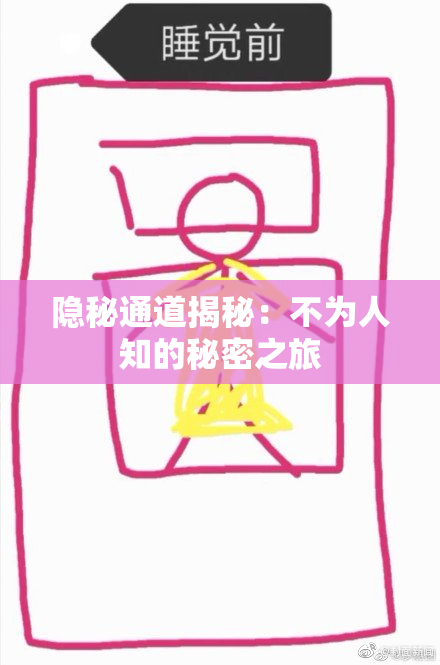 隐秘通道揭秘：不为人知的秘密之旅