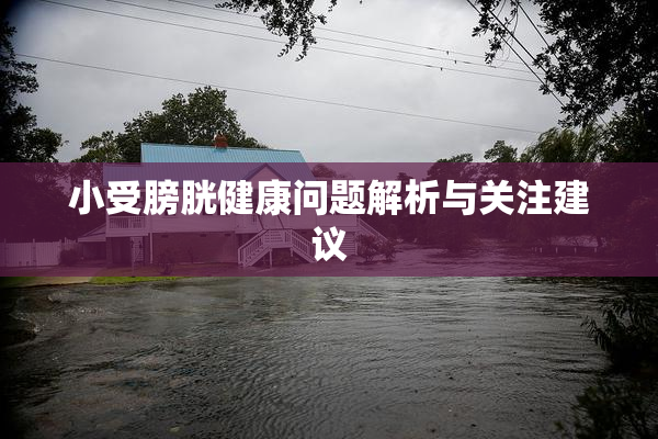 小受膀胱健康问题解析与关注建议