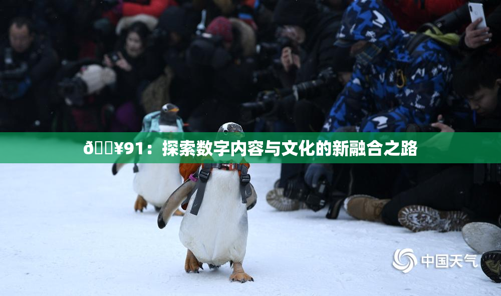 🔥91：探索数字内容与文化的新融合之路