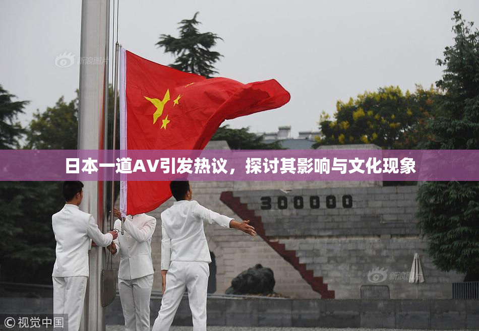日本一道AV引发热议，探讨其影响与文化现象