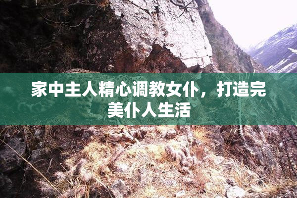 家中主人精心调教女仆，打造完美仆人生活