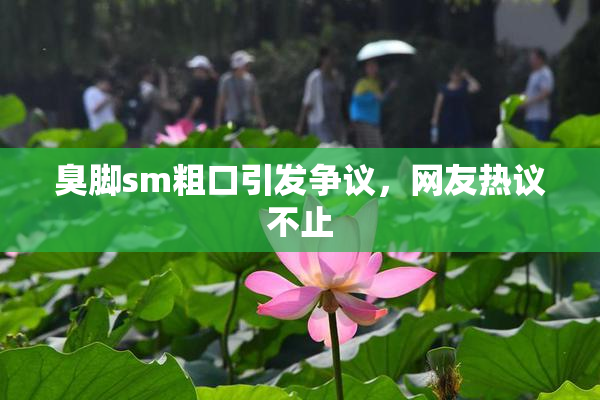 臭脚sm粗口引发争议，网友热议不止