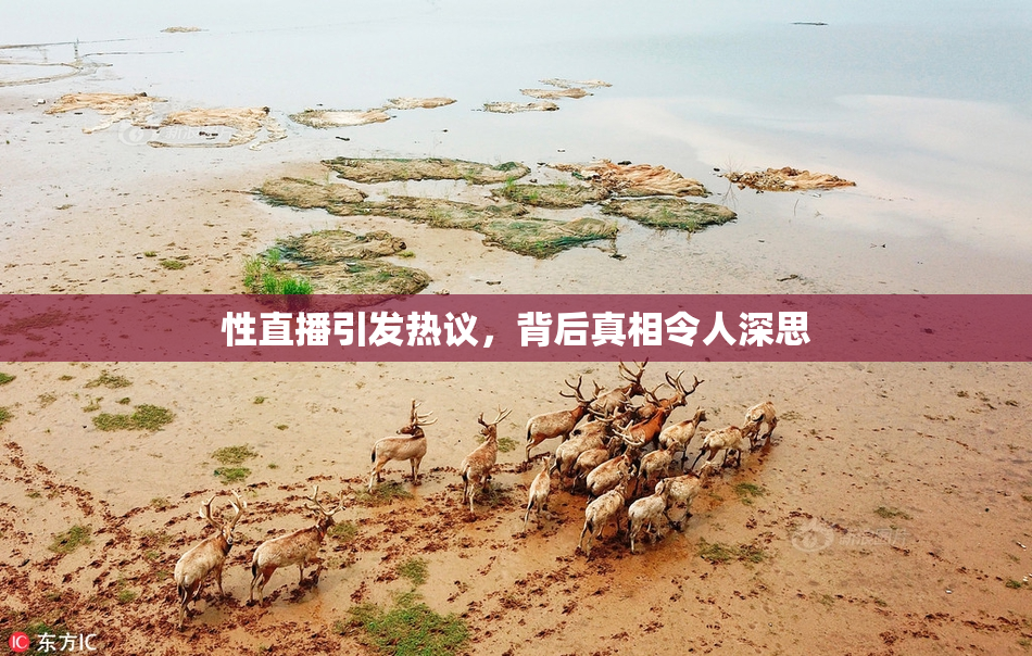 性直播引发热议，背后真相令人深思