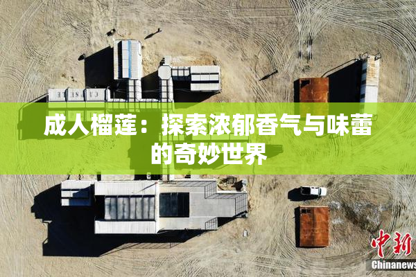 成人榴莲：探索浓郁香气与味蕾的奇妙世界