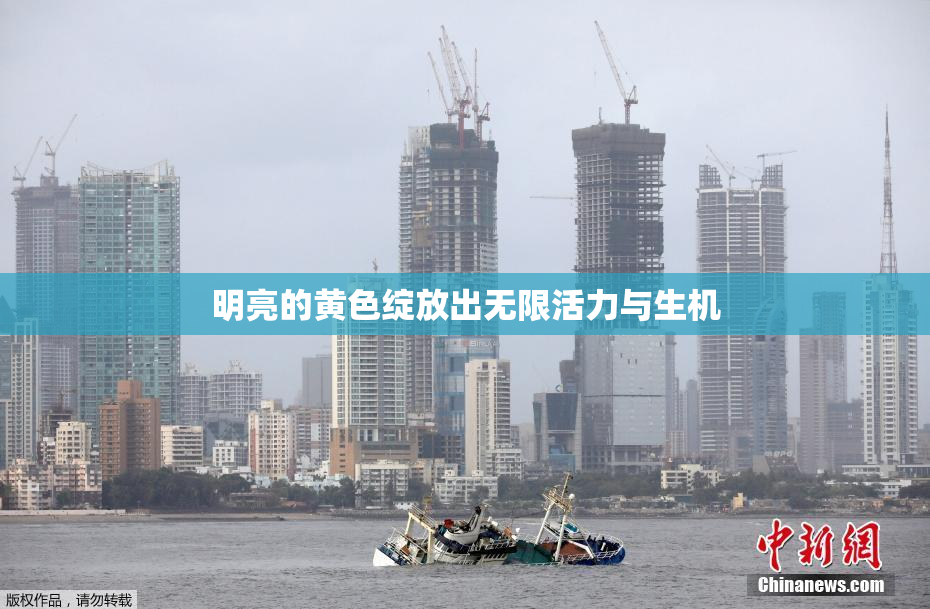 明亮的黄色绽放出无限活力与生机
