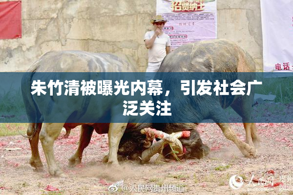 朱竹清被曝光内幕，引发社会广泛关注