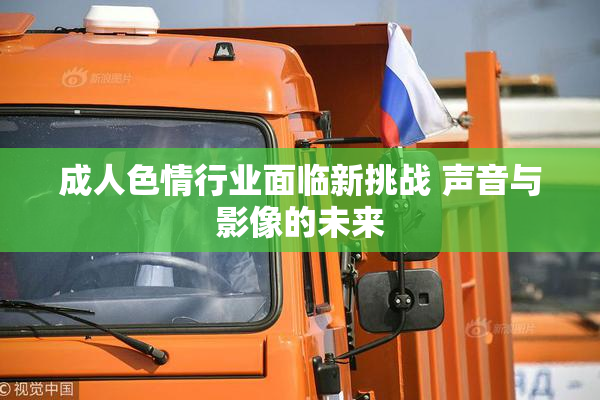 成人色情行业面临新挑战 声音与影像的未来