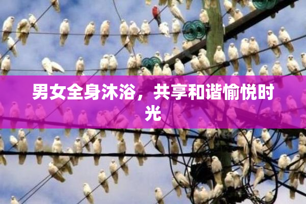 男女全身沐浴，共享和谐愉悦时光