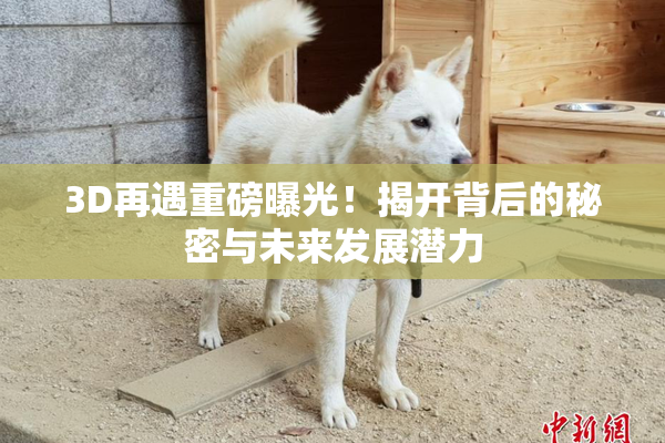 3D再遇重磅曝光！揭开背后的秘密与未来发展潜力