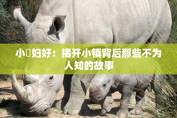 小婬妇好：揭开小镇背后那些不为人知的故事