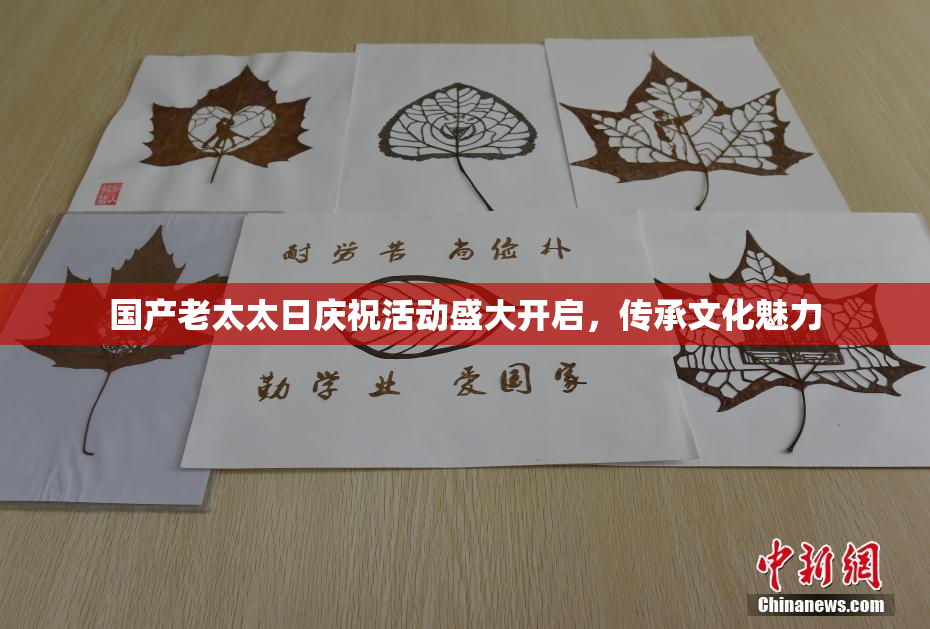 国产老太太日庆祝活动盛大开启，传承文化魅力