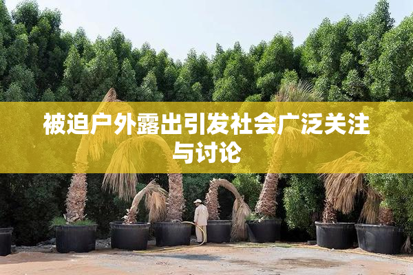 被迫户外露出引发社会广泛关注与讨论