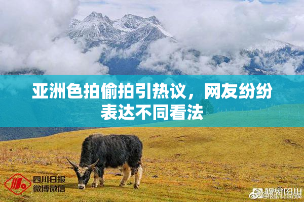 亚洲色拍偷拍引热议，网友纷纷表达不同看法