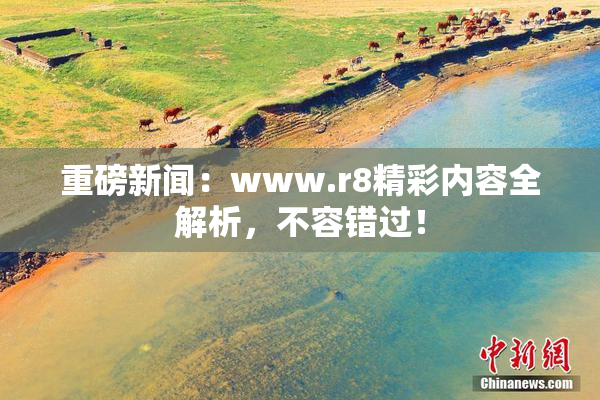 重磅新闻：www.r8精彩内容全解析，不容错过！