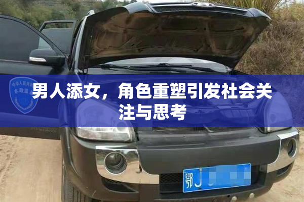 男人添女，角色重塑引发社会关注与思考