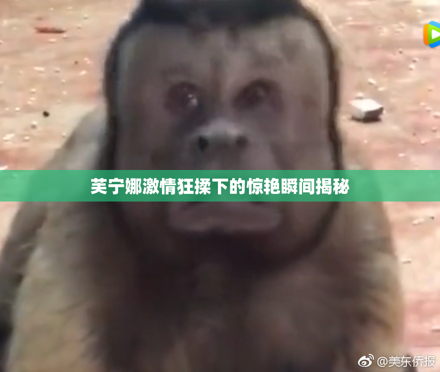 芙宁娜激情狂揉下的惊艳瞬间揭秘