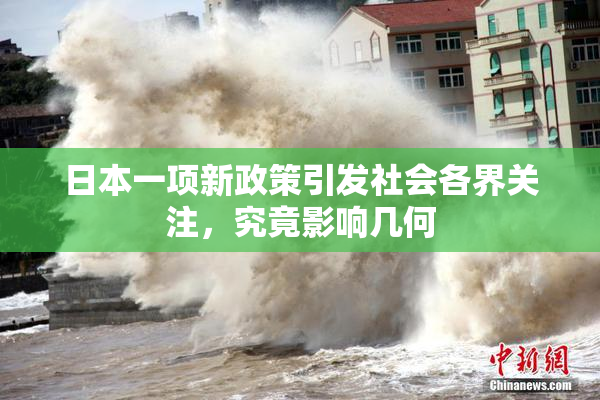 日本一项新政策引发社会各界关注，究竟影响几何