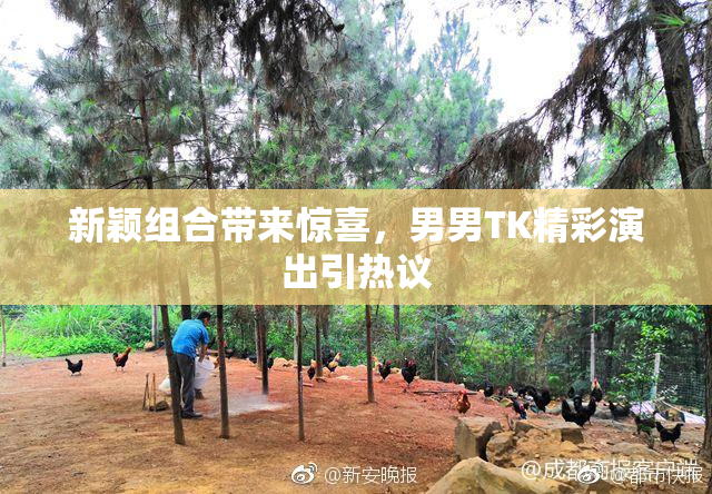 新颖组合带来惊喜，男男TK精彩演出引热议