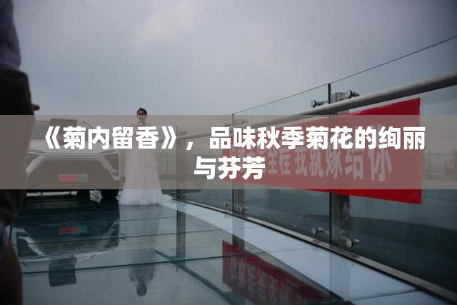 《菊内留香》，品味秋季菊花的绚丽与芬芳