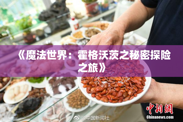 《魔法世界：霍格沃茨之秘密探险之旅》