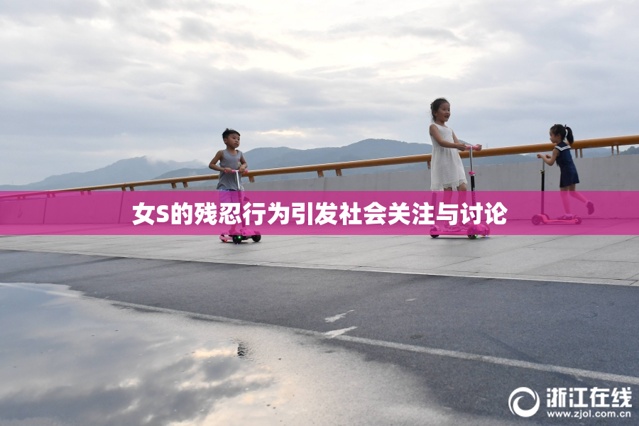 女S的残忍行为引发社会关注与讨论
