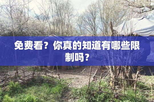 免费看？你真的知道有哪些限制吗？