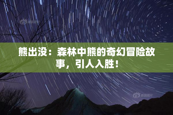熊出没：森林中熊的奇幻冒险故事，引人入胜！