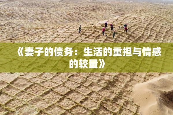 《妻子的债务：生活的重担与情感的较量》