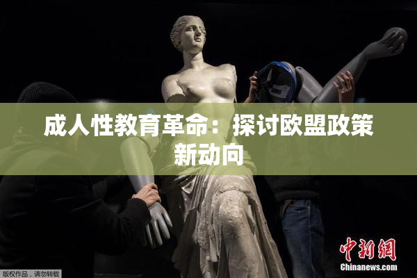 成人性教育革命：探讨欧盟政策新动向
