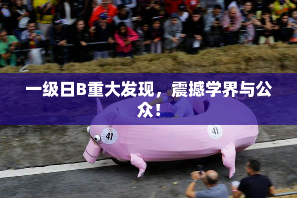一级日B重大发现，震撼学界与公众！