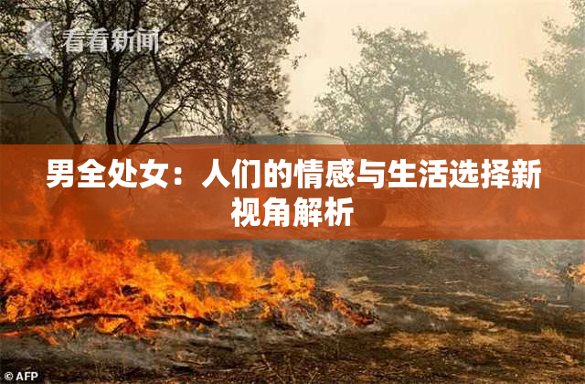 男全处女：人们的情感与生活选择新视角解析