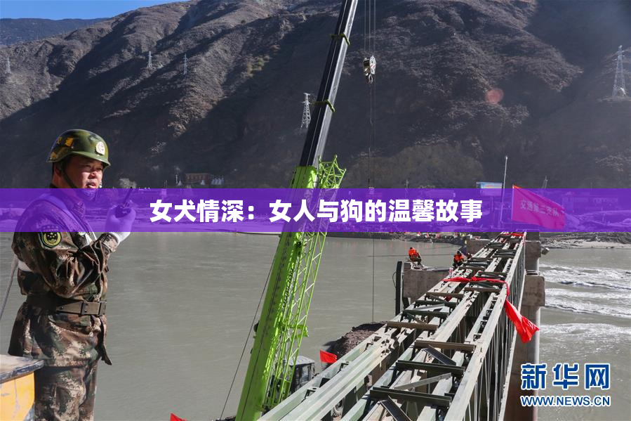 女犬情深：女人与狗的温馨故事