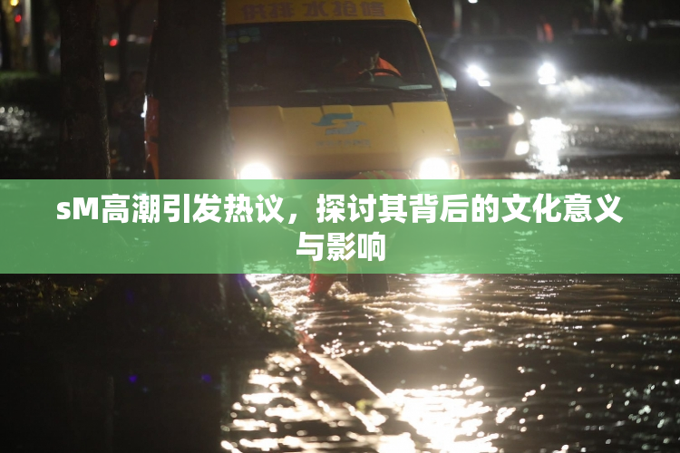 sM高潮引发热议，探讨其背后的文化意义与影响