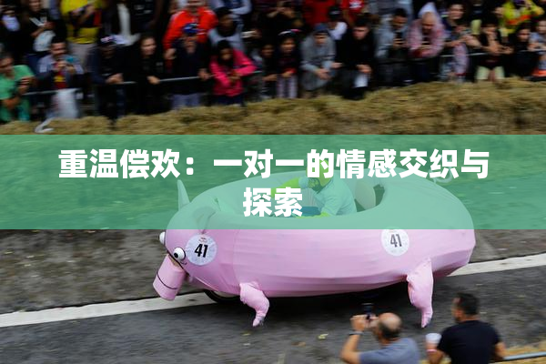 重温偿欢：一对一的情感交织与探索