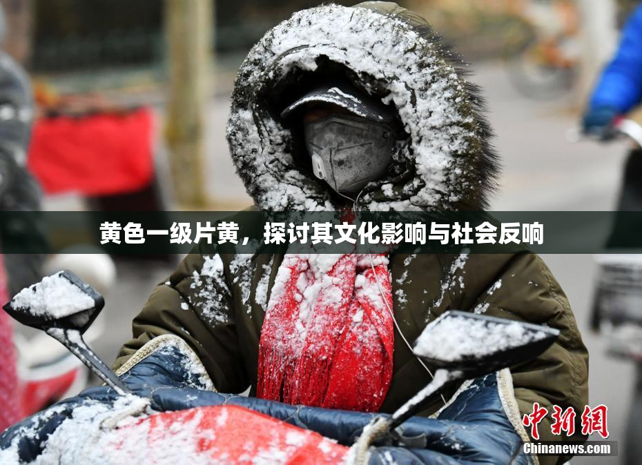 黄色一级片黄，探讨其文化影响与社会反响