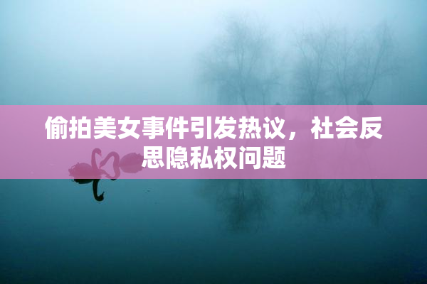 偷拍美女事件引发热议，社会反思隐私权问题