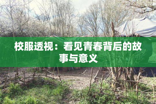 校服透视：看见青春背后的故事与意义